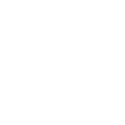 Mute Volume Icon