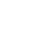 Volume Icon