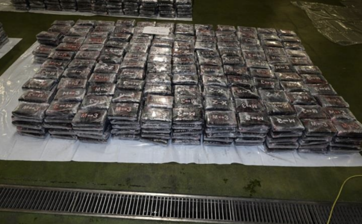 London Gateway cocaine laid out