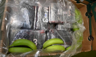Crate of bananas and drugs