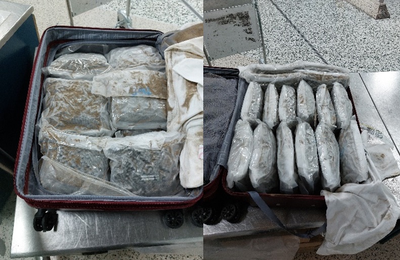 cannabis found in suitcases