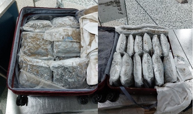 cannabis found in suitcases