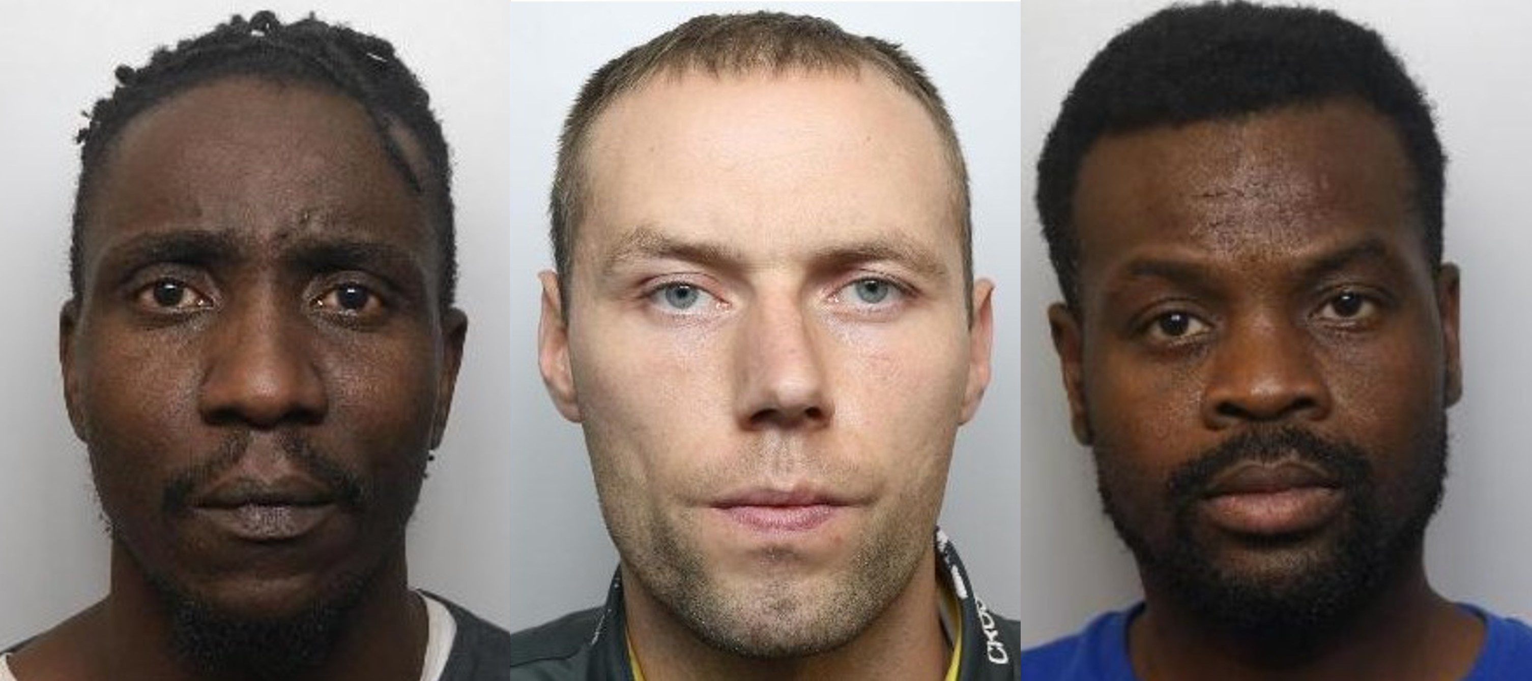 Sigiyo Brzozwski Houphouet Montage