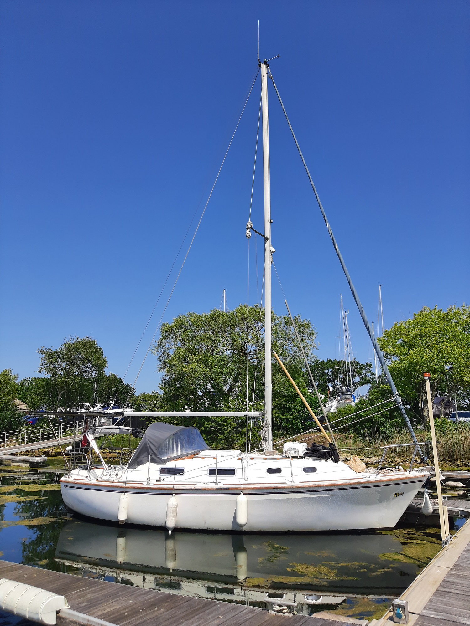 Chichester yacht image