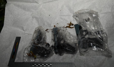 Teenager converted blank firers into deadly weapons
