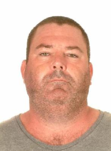 Foster custody image