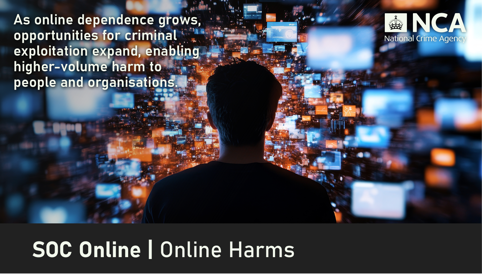 SOC Online - Online Harms Title.