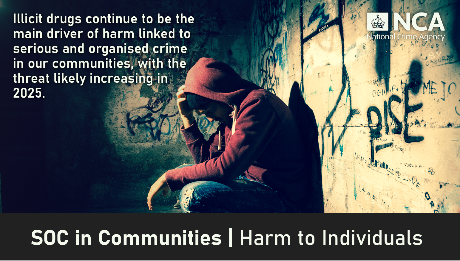 SOC in Communities - Harm to Individuals Title.
