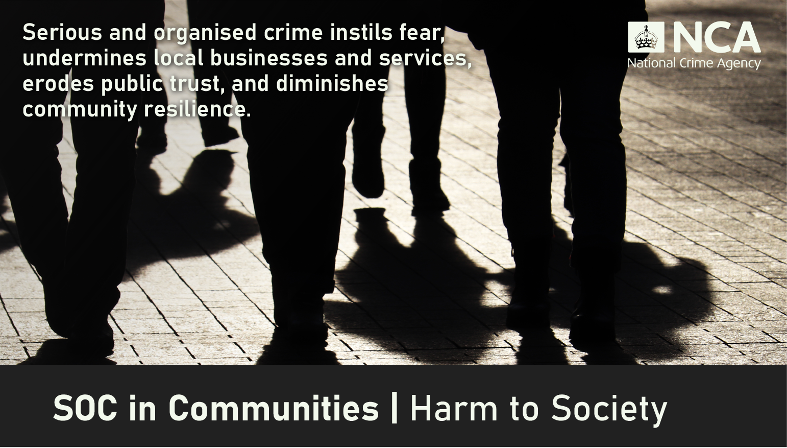 SOC in Communities - Harm to Society Title.